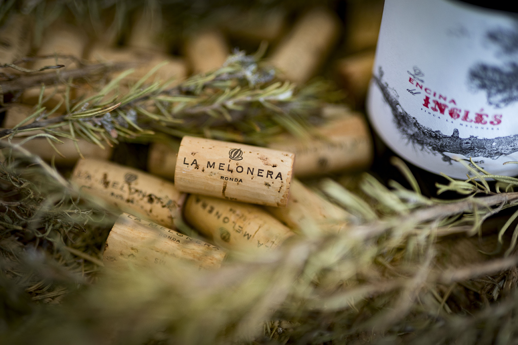 Bodega La Melonera