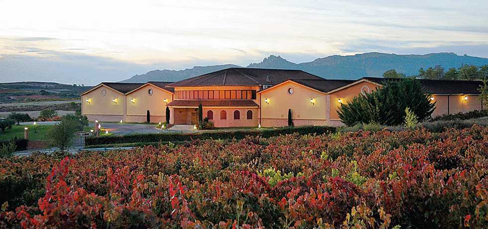 Bodega sPiérola