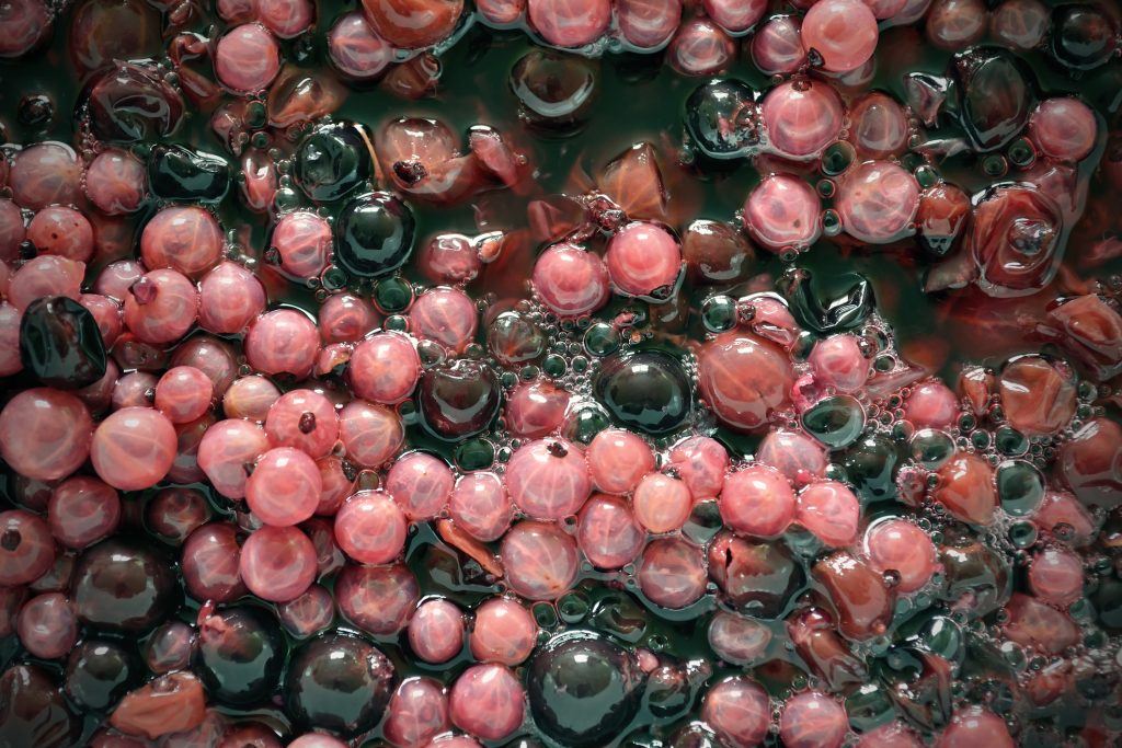 Fermentación vino